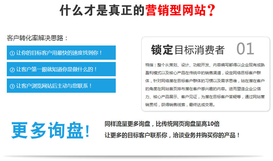 英文网站优化营销型网站建设  第1张
